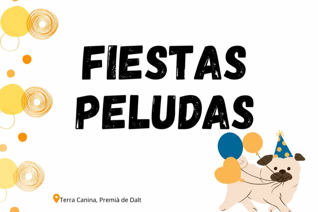 Otros servicios