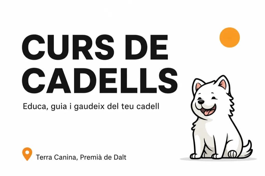 Curso de cachorros