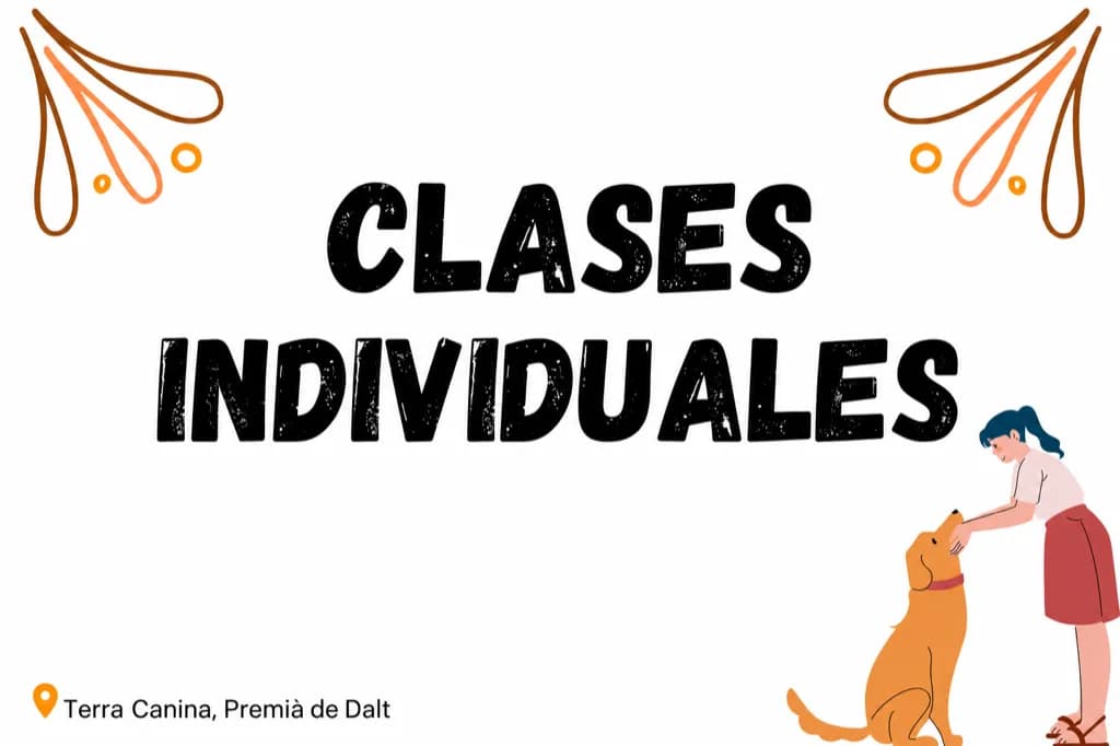 Otros cursos