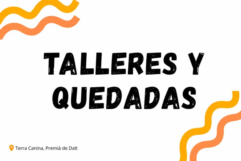 Análisis de conducta