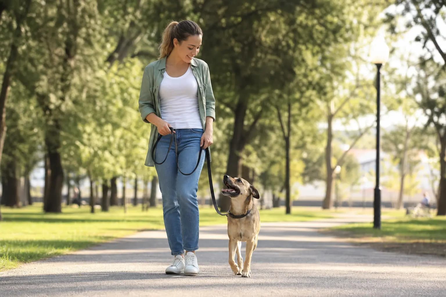 Passejar sense estirar de la corretja