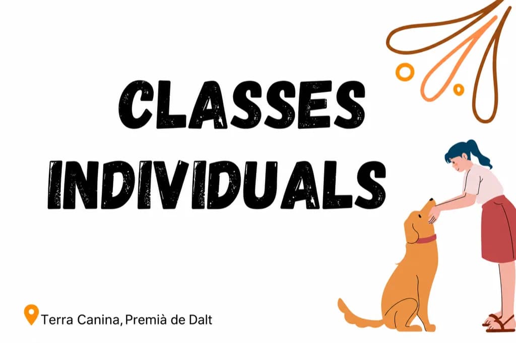 Altres cursos