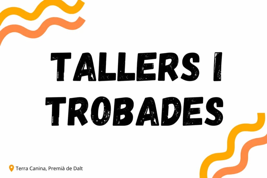 Anàlisi de conducta